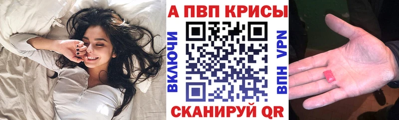 Alfa_PVP СК Будённовск