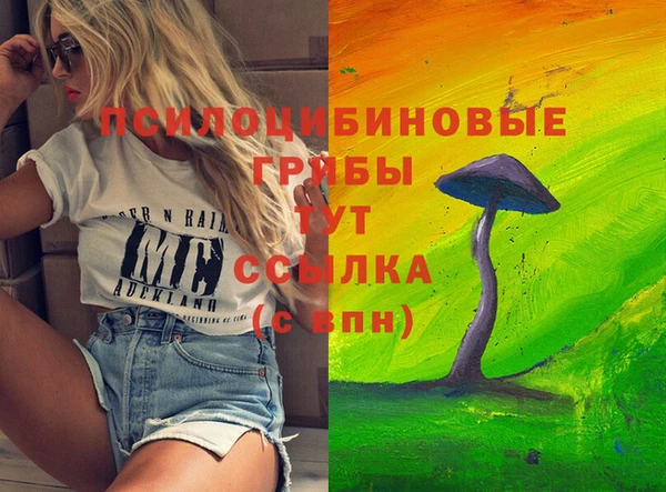 амф Пролетарск