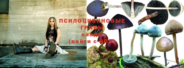 МДПВ Покров