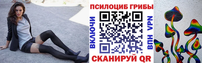 Псилоцибиновые грибы MAGIC MUSHROOMS  Будённовск 